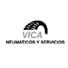 Vianeumático
